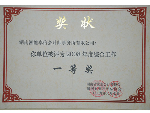 2008年綜合工作一等獎