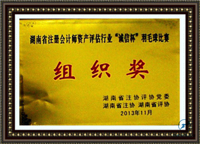 2013年羽毛球比賽組織獎