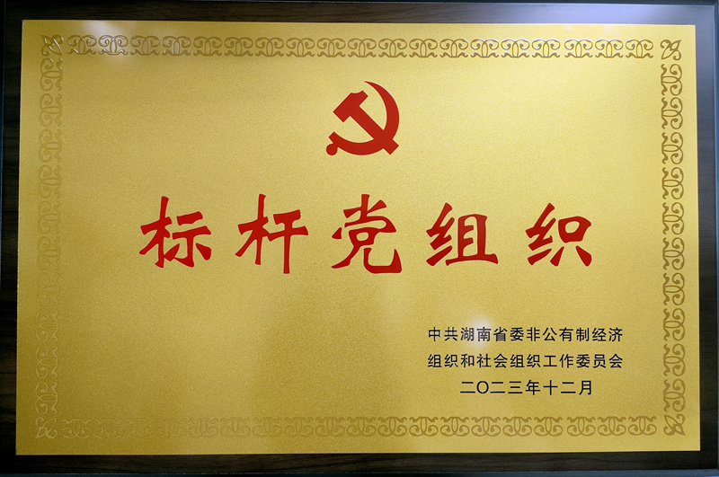 2023年度“標桿黨組織”